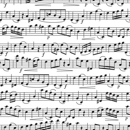 Music plays a very important role in the way the audience perceives a film. Music has many purposes in film such as to create a particular emotion or create anticipation or create a vibe of a particular time period. 