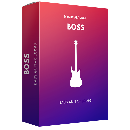Boss - Bass Guitar Loops